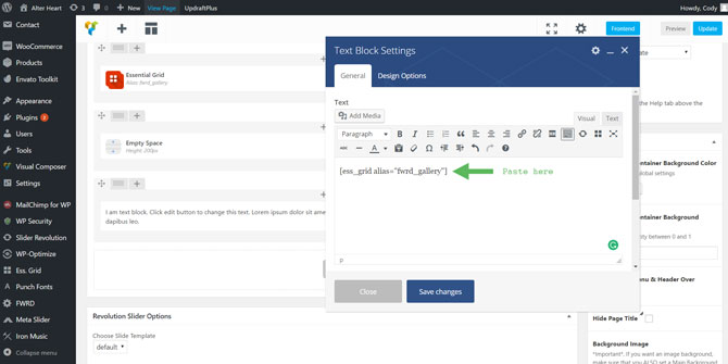 Add Essential Grid to Page