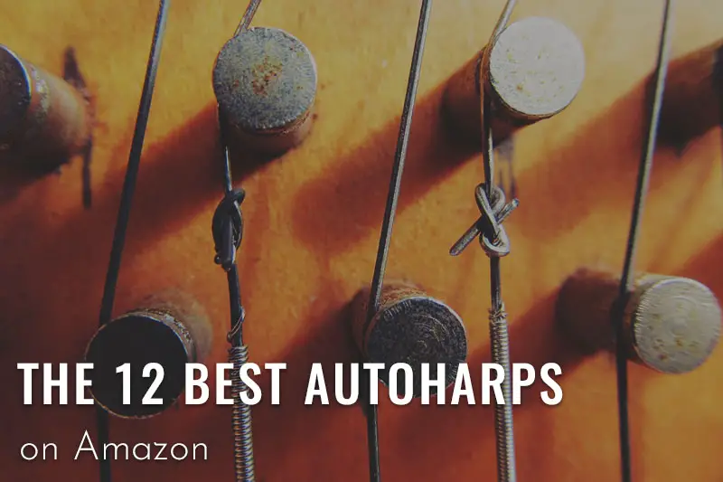 Best Autoharps