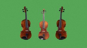 Cello Vs. Bass