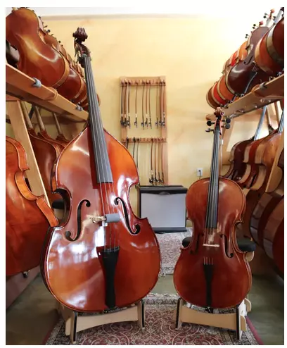 Cello vs Bass Size Difference