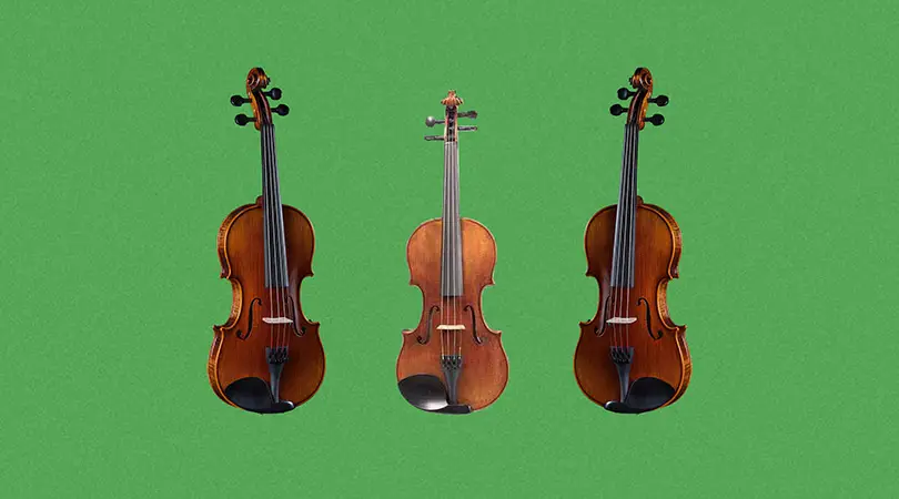 Cello Vs. Bass: 5 Key Differences You Should Know