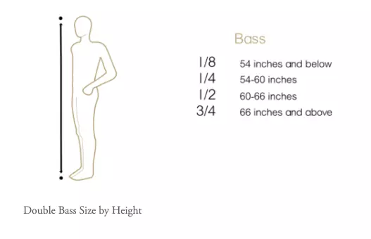 Human Height