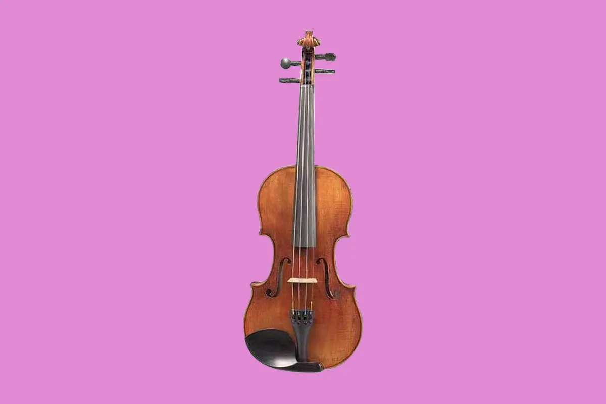 D Z Strad Model 365