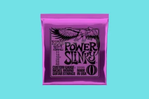 Ernie Ball 2220