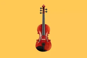 Violin