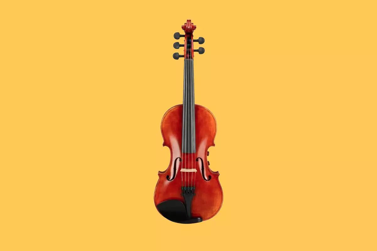 Violin