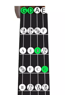 violin chords