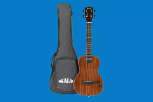 Solid Body Electric Ukulele