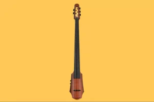 NS Design NXT5a 5-String Electric Cello