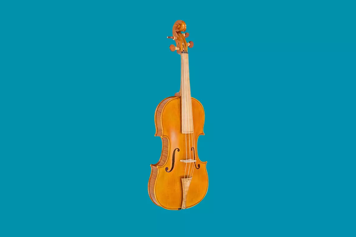 Violin