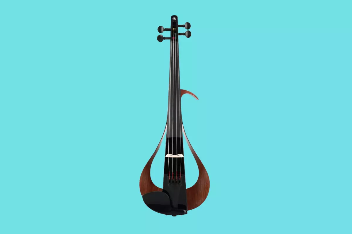 Violin