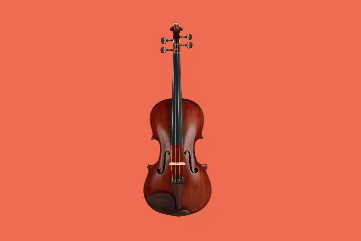 Violin