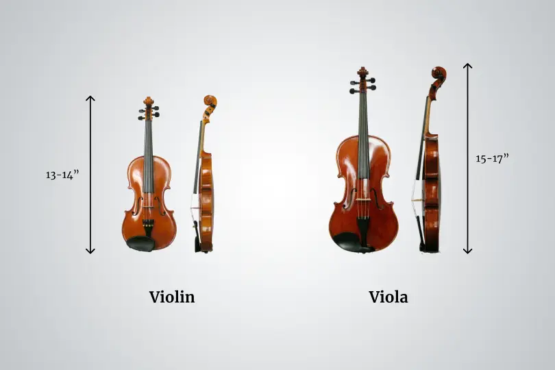 Viola Vs Violin - Size Differences
