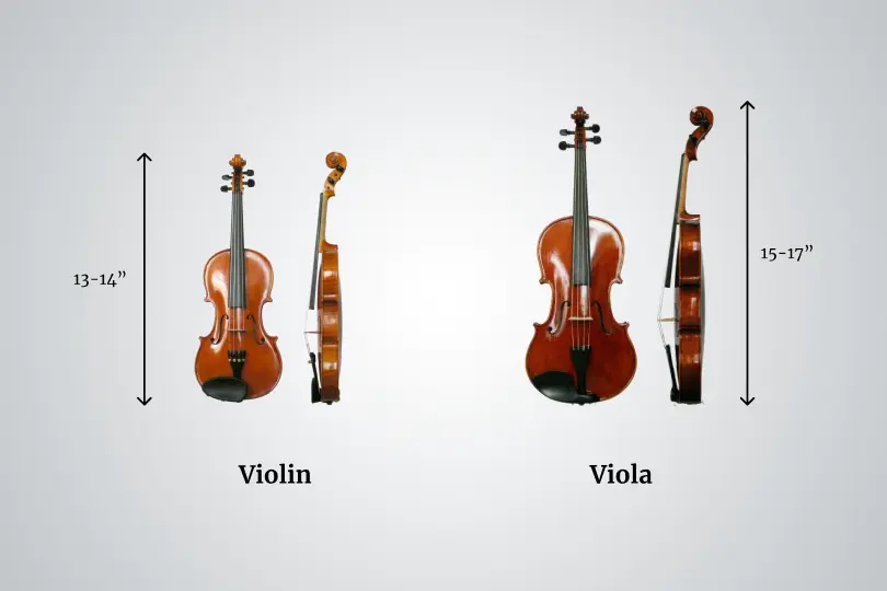 Viola Vs. Violin: 5 Major Differences | Musician