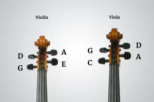 Viola And Violin Tunings