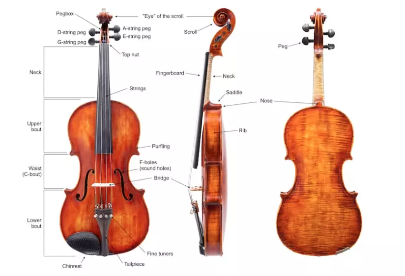 Different types of violin strings sales