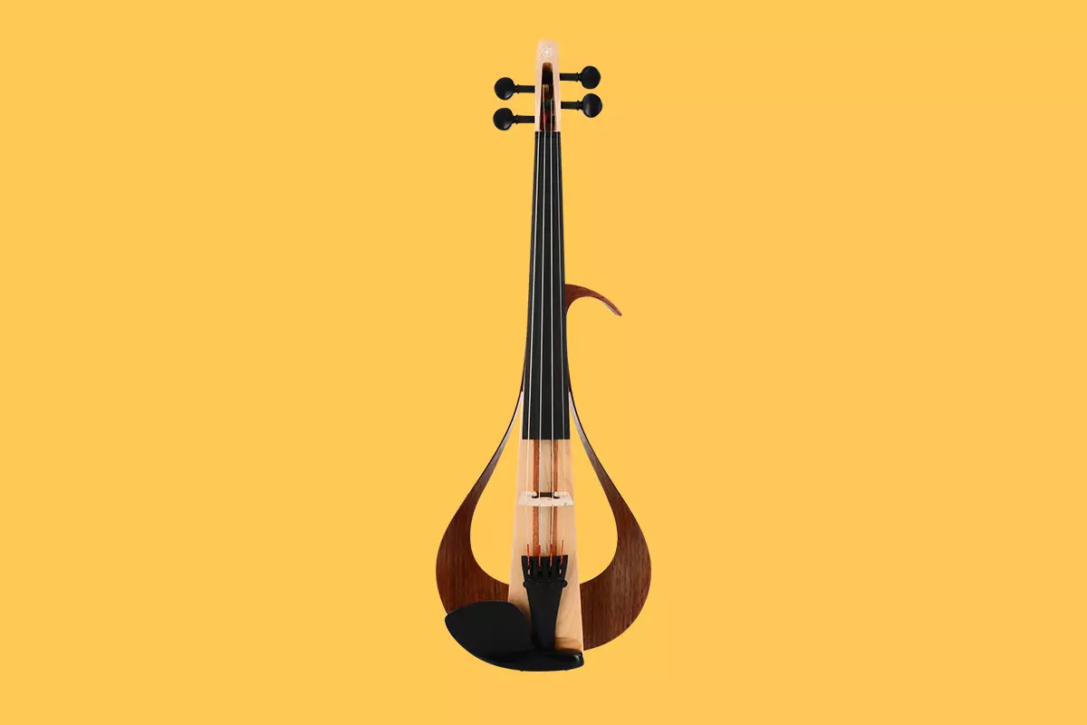 Violin